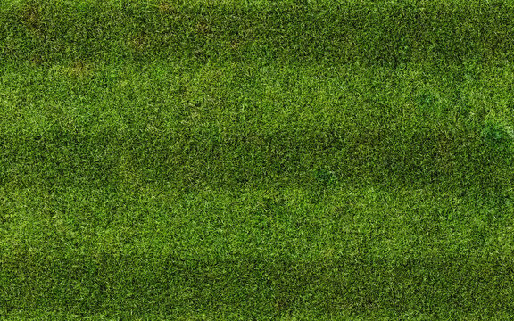 Green grass texture for sport background. Grass texture. 3d rendering illustration.