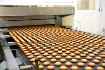 Controlling the work of huge conveyor machine producing spice cakes at the confectionary plant. Cookie production line. Innovative biscuit production.