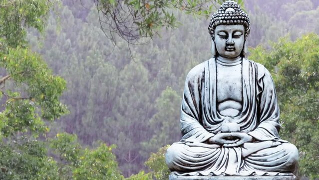 Buddha statue sitting in meditation with rain and forest in the background.