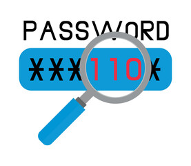 password for cyber fraud