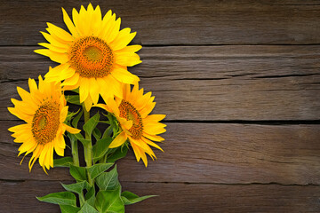 A bouquet of three sunflower flowers on a wooden background