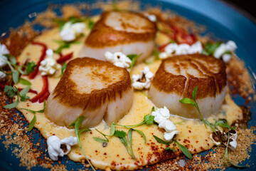 seared scallops with popcorn sauce