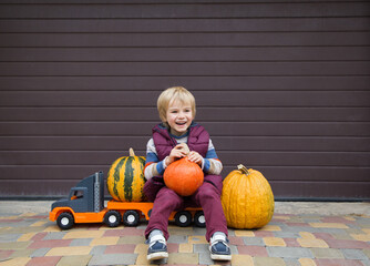Fototapeta premium cheerful boy of 5 years old sits on a big toy truck and transports beautiful farm pumpkins to the warehouse. Little helper, autumn games for children on the farm