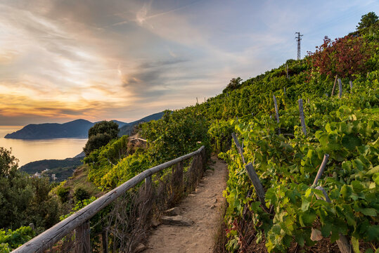 Cinque Terre Liguria