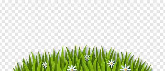 Grass and chamomile paper cut border isolated on transparent background. Vector Illustration. Spring summer green pattern. Happy Easter Frame with white daisy, Earth day decoration