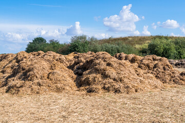 Stockage de lisier de bovins dans un champs 