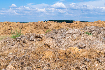 Fototapeta na wymiar Fertilisation des sols par du lisier de bétail 