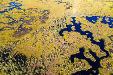 High-moor bog aerial view. The Yelnya Landscape Reserve. Swamp in Belarus