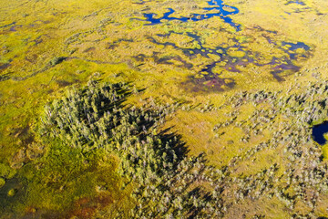 High-moor bog aerial view. The Yelnya Landscape Reserve. Swamp in Belarus