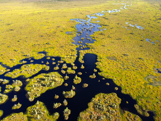 High-moor bog aerial view. The Yelnya Landscape Reserve. Swamp in Belarus