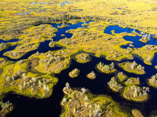 High-moor bog aerial view. The Yelnya Landscape Reserve. Swamp in Belarus