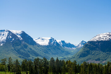 Nordic scenery of forests with tall trees and snow-capped mountains