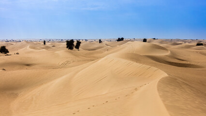 Fototapeta na wymiar Dubai , Emirats Arabes Unis - Panoramas al marmoom desert reserve