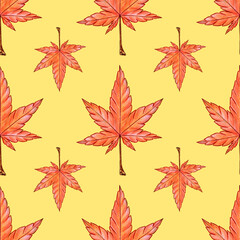 Seamless pattern maple red leaves. Autumn wall. Hand drawn watercolor colored pencils illustration on colored background.