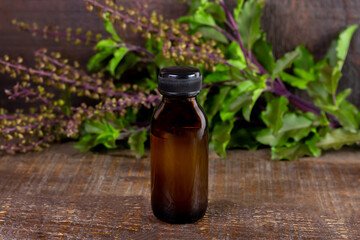 Holy Basil or Tulsi Essential Oil in bottle with Branch of Holy Basil on wooden background.