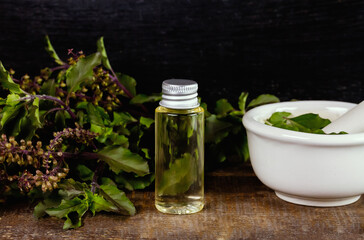 Holy Basil or Tulsi Essential Oil in bottle with Branch of Holy Basil on wooden background.