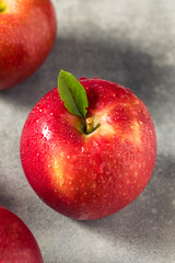 Raw Red Organic Cosmic Crisp Apples