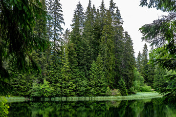 The beautiful mountain lake Vrbicke Pleso in the Low Tatras in Slovakia