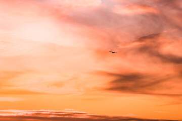 sunset in the sky