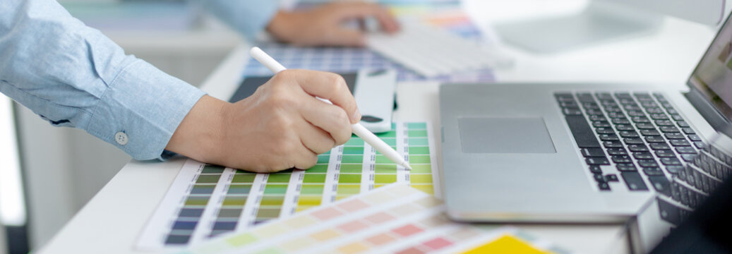 Professional development programmers are choosing color schemes to decorate their website or application to be attractive, Write information or code for the website,  HTML, Javascript, Color tone.