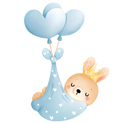 cute baby boy rabbit