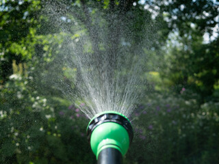 Gardener's hand holds a hose with a sprayer and watered the plants in the garden