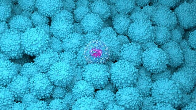 T-cells attack pancreatic cancer cells
