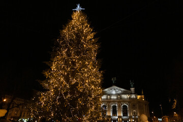 christmas tree in front of opera building