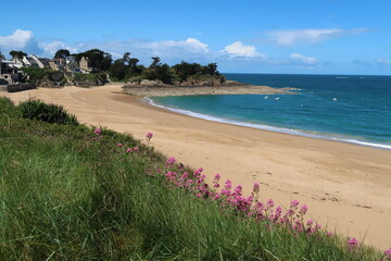 Plage du Val à Rothéneuf, dans la ville de Saint-Malo en Bretagne, paysage de côte avec une plage déserte de sable fin, de l’herbe et des fleurs de printemps au bord de la mer (France)