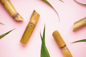 Sugar cane on a pink background. Top view.