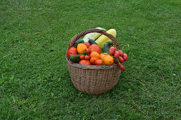 Fresh vegetables in a basket on a green lawn.