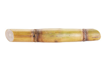 Sugarcane isolated on white background, closeup.