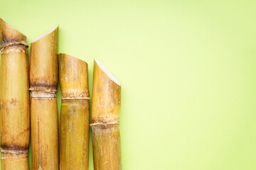 Sugar cane on a green background, space for text. Top view.