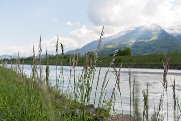 Rhine river in Schaan in Liechtenstein