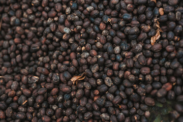 Drupe coffee