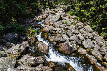 Naklejka na ściany i meble Mountain river at the High Tatras National Park