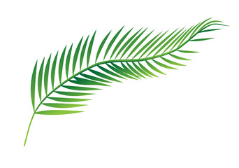 tropical leaf.