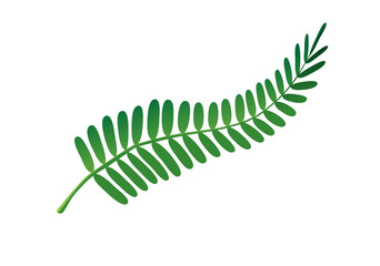 tropical leaf.