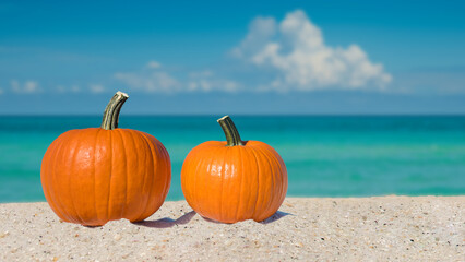 Pumpkins. Pumpkin on the beach. Autumn season composition. Two pumpkins on sea sand. Beach shore....