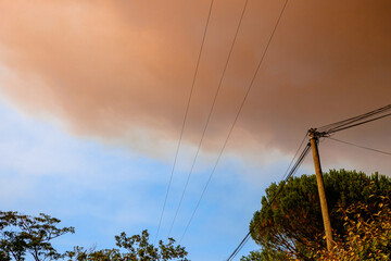 Smoke in the sky in Gironde, during forest fires/Fumées dans le ciel en Gironde, durant les incendies de forêts
