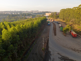 Obraz premium Foto aérea, de floresta de reflorestamento, com eucaliptus voltado para a fabricação de papel e celulose, em Limeira, São Paulo, Brasil