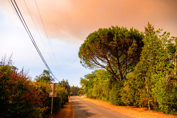 Smoke in the sky in Gironde, during forest fires/Fumées dans le ciel en Gironde, durant les incendies de forêts
