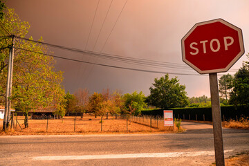 Smoke in the sky in Gironde, during forest fires/Fumées dans le ciel en Gironde, durant les incendies de forêts