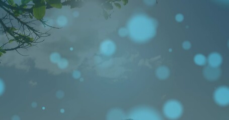 Animation of light spots over biracial couple kissing - Powered by Adobe