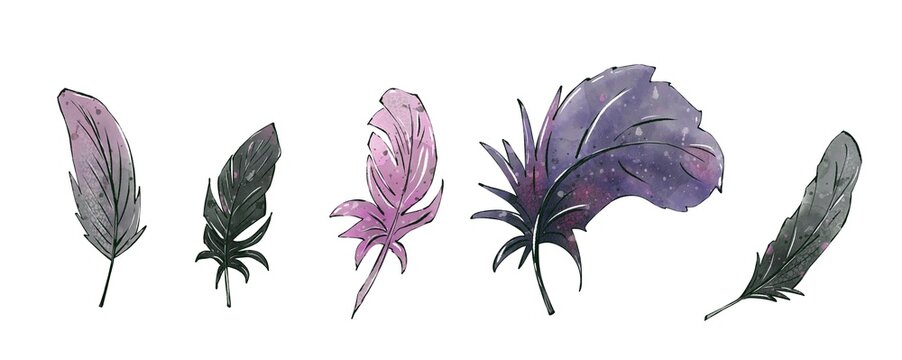 Set of boho feathers in black, pink, lilac and gray color. Hand painted watercolor ilustration