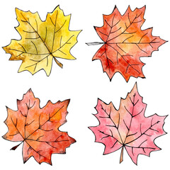 Hand drawn autumn leaves. Watercolor and liner