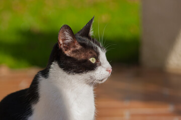 Chat_05