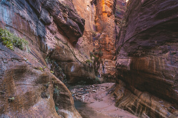 Zion National Park Utah USA