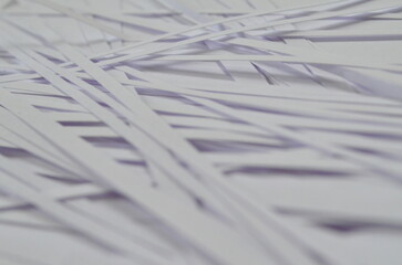 White Paper Strips