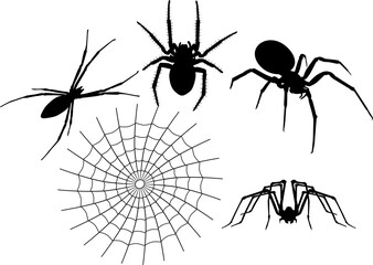 A collection of five silhouettes consisting of four spiders and one spider's web. Vector.